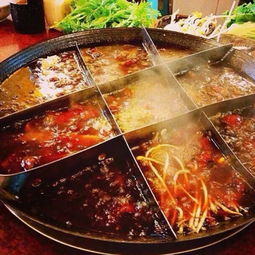 九肴涮 以良心為本，用美味與健康滋養(yǎng)每一刻